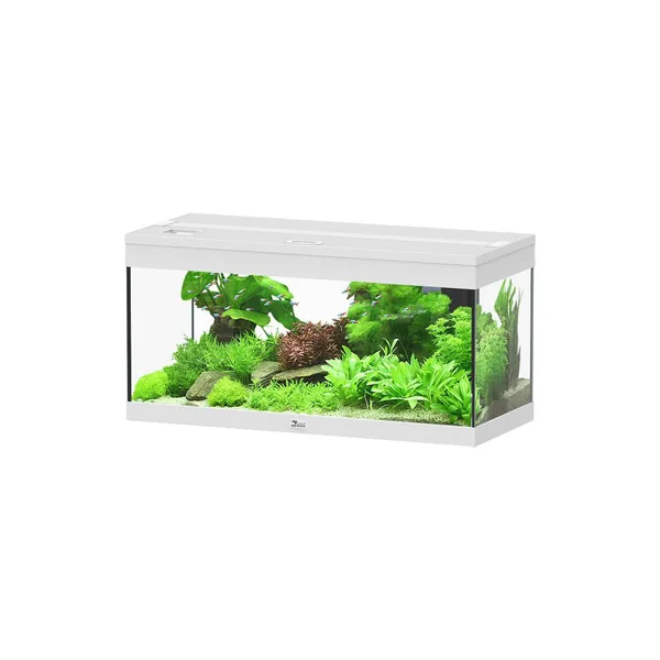 Aquarium Prestige 80 coloris blanc Auxine - 85 L