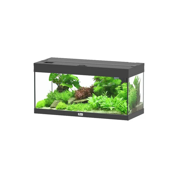 Aquarium Prestige 80 coloris noir - 85 L