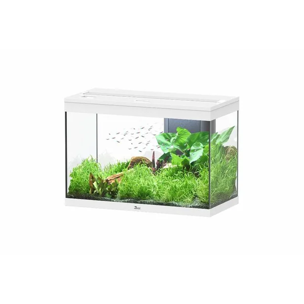 Aquarium Splendid blanc équipé de LED - 80 x 40 x 56 cm