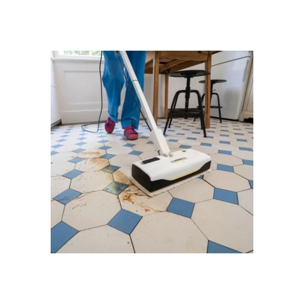 Balai nettoyeur vapeur Karcher SC 1 Upright