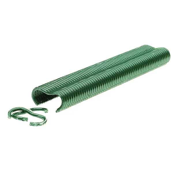 Boîte de 3190 agrafes plastifiées vert VR16 grillage RAPID