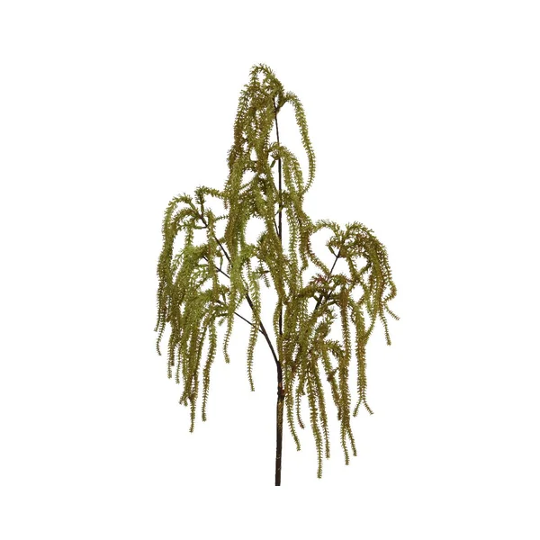 Branche amarante dorée coloris multicolore - 30 x 15 x 85 cm