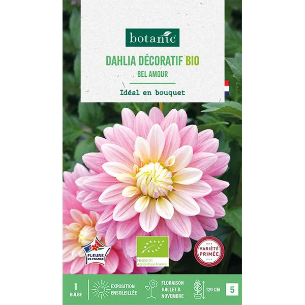 Bulbe de fleurs Dahlia décoratif Bel Amour bio botanic® - 1 bulbe