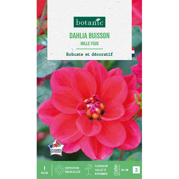 Bulbe de fleurs Dalhia buisson Mille Feux botanic® - 1 bulbe
