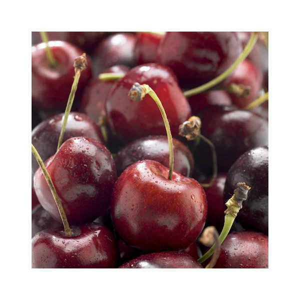 Cerisier Big. Delice De Malicorne ® Agoudel Bio. Le pot de 15 litres