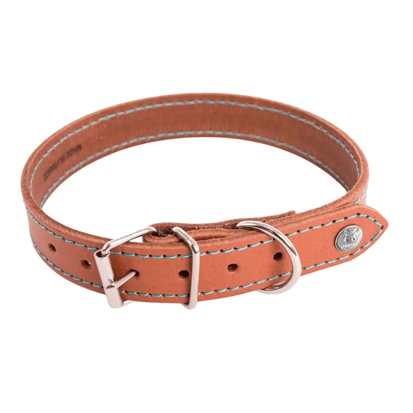 Collier pour chien en cuir coloris cognac turquoise Martin Sellier Flash - taille 26/56