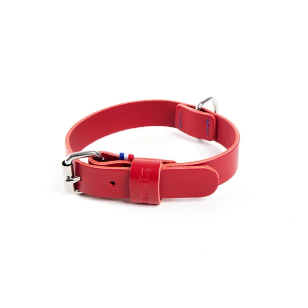 Collier pour chien en cuir coloris rouge cousu Martin Sellier 499 - Taille 20/45