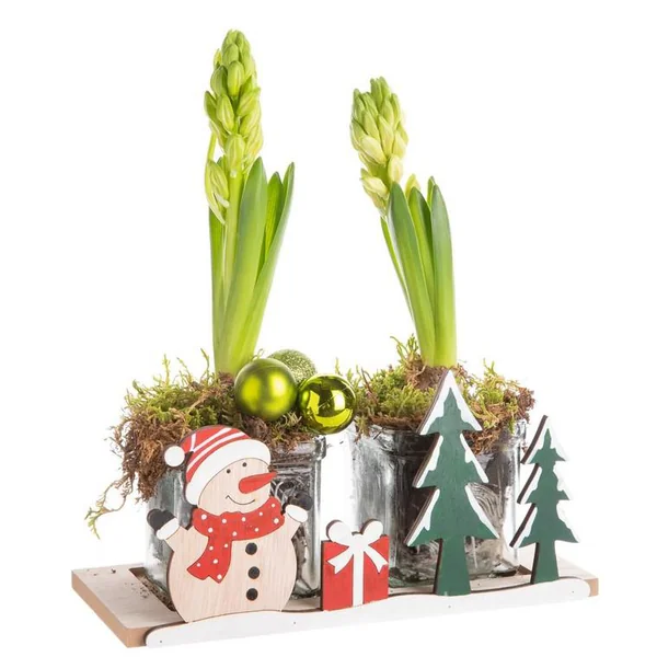 Composition de Noël duo jacinthes multicolore verrerie bonhomne de neige