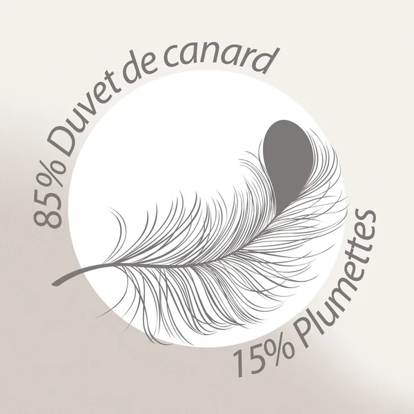Couette 240x220 cm hiver FINLANDE garnissage naturel duvet de canard 300 g/m2