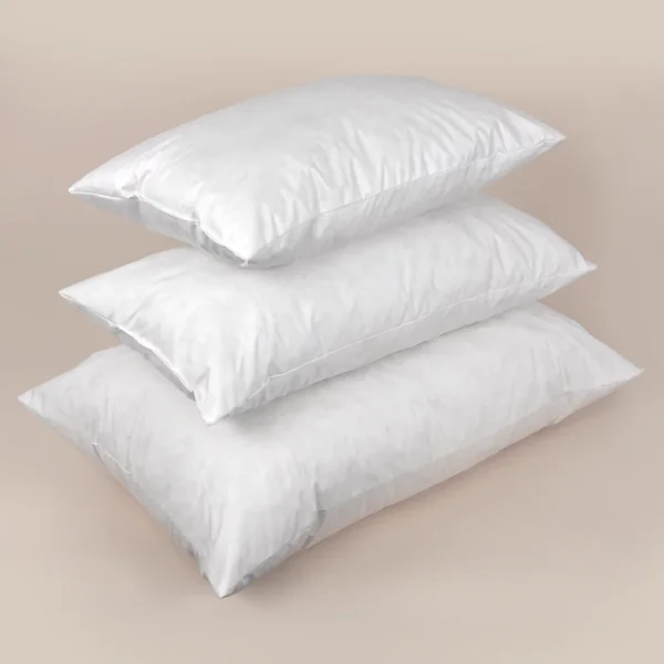 Coussin à recouvrir 30x60 cm, garnissage 100% Plumettes de canards - coussin Plumes