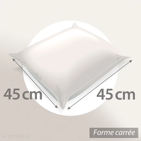 Coussin à recouvrir 45x45 cm, garnissage 100% Plumettes de canards - coussin Plumes
