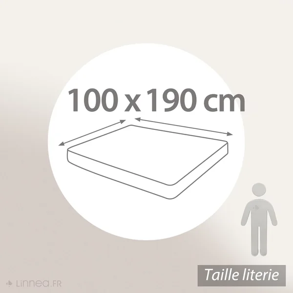 Drap housse uni 100x190 cm bonnet 30 cm 100% coton ALTO Blanc