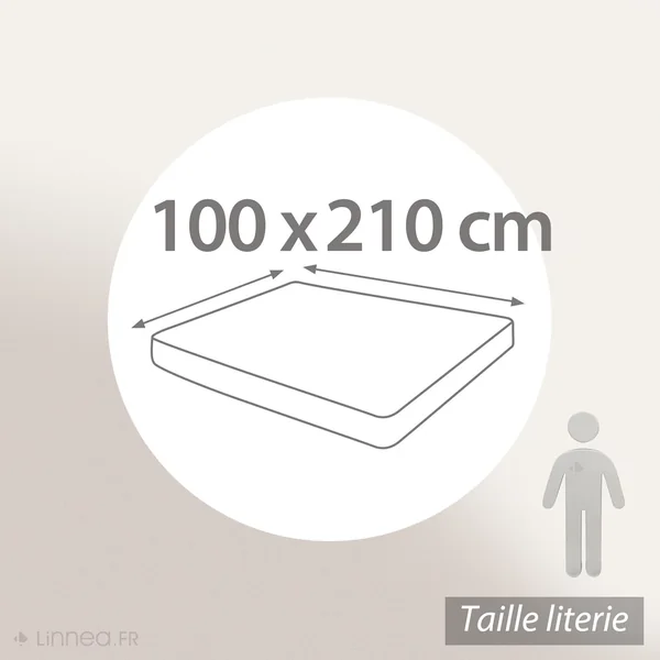 Drap housse uni 100x210 cm bonnet 30 cm 100% coton ALTO Crème
