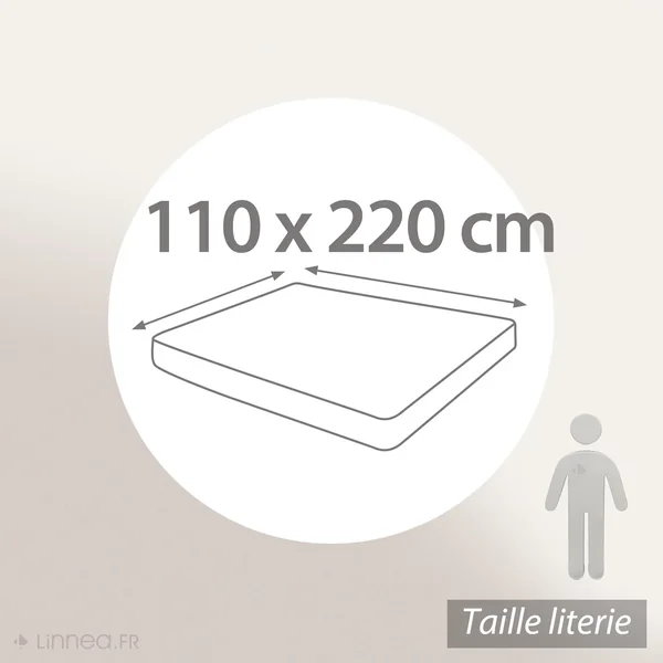 Drap housse uni 110x220 cm bonnet 30 cm 100% coton ALTO Blanc
