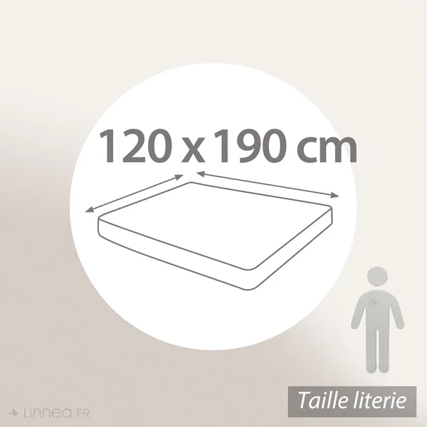 Drap housse uni 120x190 cm bonnet 50 cm 100% coton ALTO violet Raisin