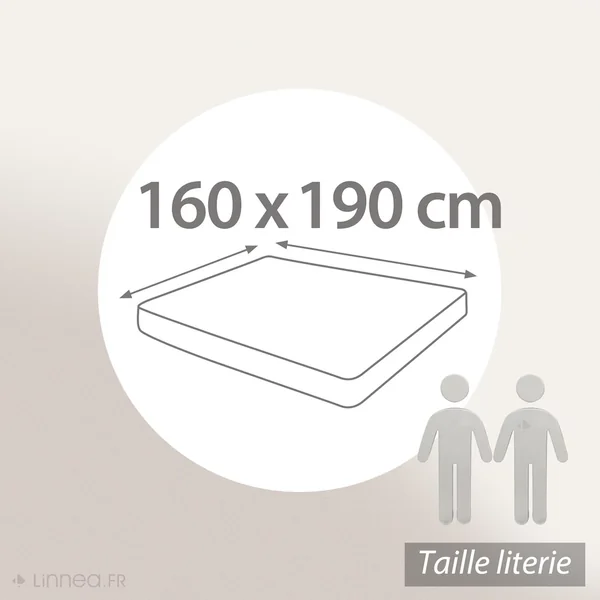 Drap housse uni 160x190 cm bonnet 30 cm 100% coton ALTO bleu Jean