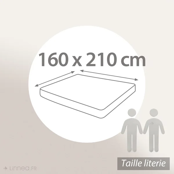 Drap housse uni 160x210 cm bonnet 40 cm 100% coton ALTO marron Chamois