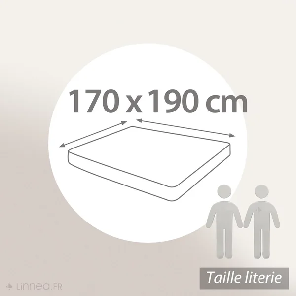 Drap housse uni 170x190 cm bonnet 30 cm 100% coton ALTO Alu