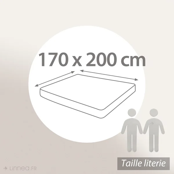 Drap housse uni 170x200 cm bonnet 40 cm 100% coton ALTO gris Alu