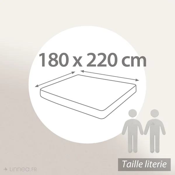 Drap housse uni 180x220 cm bonnet 40 cm 100% coton ALTO marron Chamois