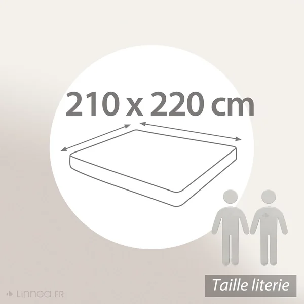 Drap housse uni 210x220 cm bonnet 30 cm 100% coton ALTO vert fleur d'amandier