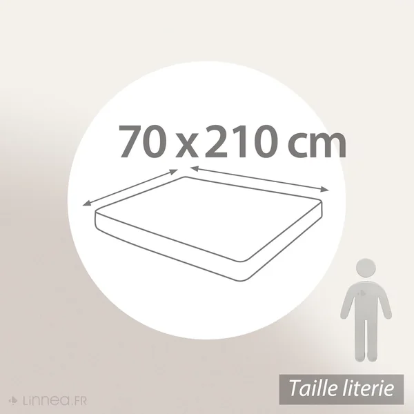 Drap housse uni 70x210 cm bonnet 30 cm 100% coton ALTO Blanc