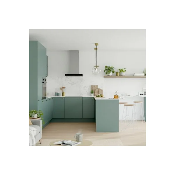 Façade de cuisine 1 tiroir et 2 casseroliers Stevia vert mat l. 80 cm x H. 72 cm GoodHome