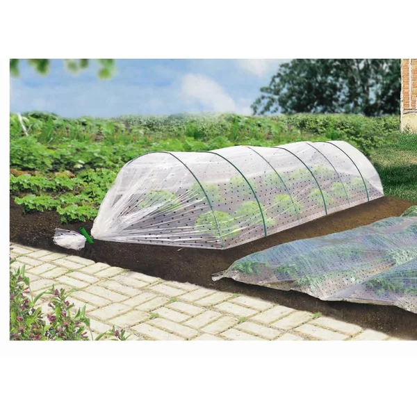 Film de croissance coloris transparent 2x5 m