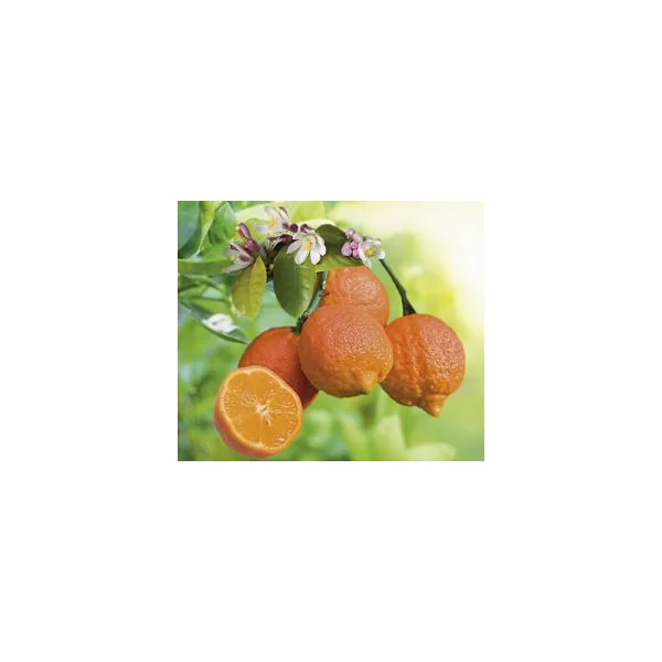 Lime coloris rouge - 2,5 L