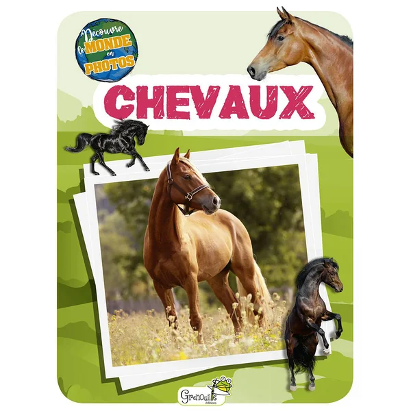 Livre pour enfants "Chevaux découvre le monde"