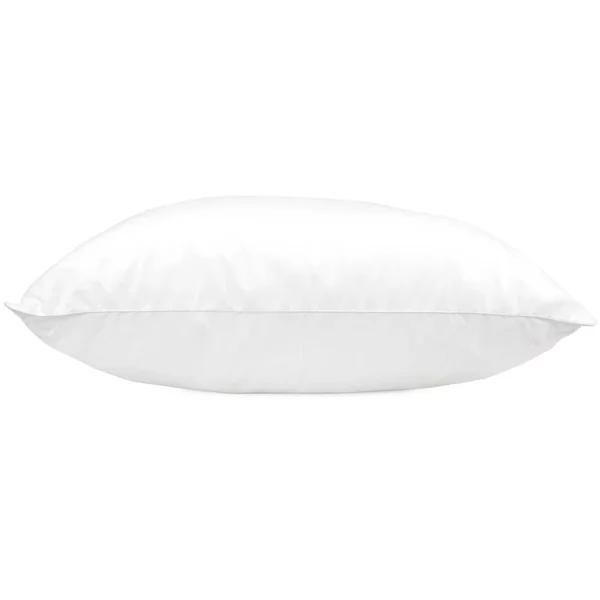 Oreiller 60x60 cm GRIZZ'LIT FLOTEX - Fibre creuse Polyester