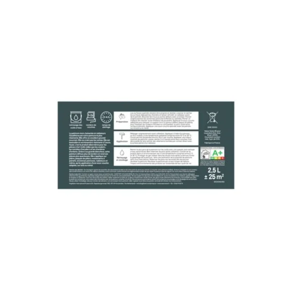 Peinture intérieure couleur murs, boiseries et radiateurs GoodHome satin valencia orange 2.5L