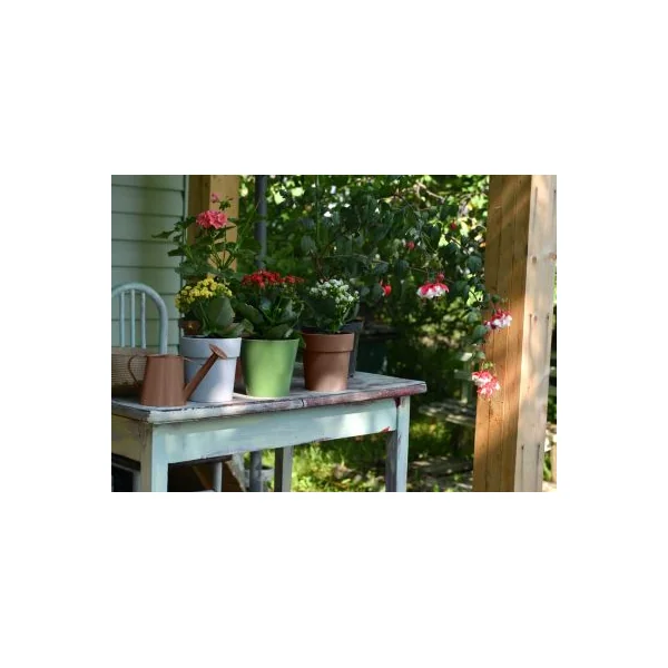 Peinture multi-supports extérieur brun RAL 8011 satin Tollens 2 L