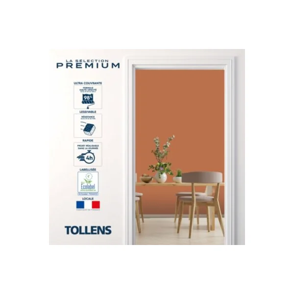 Peinture murs, boiseries et radiateurs orange canyon velours Tollens Premium 0.5 L