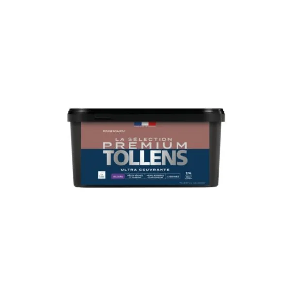 Peinture murs, boiseries et radiateurs rouge acajou velours Tollens Premium 2.5 L