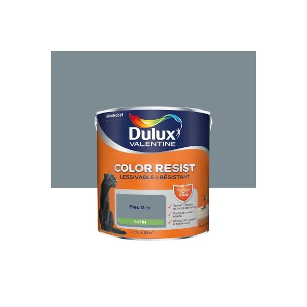 Peinture murs et boiseries Color Resist Dulux Valentine satin bleu gris 2,5L
