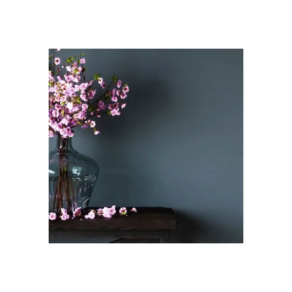 Peinture murs et boiseries gris nuit d'été velours GoodHome Naturéa 2 L