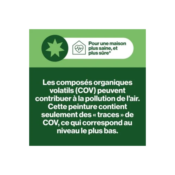 Peinture murs et boiseries vert figuier velours GoodHome Naturéa 2 L