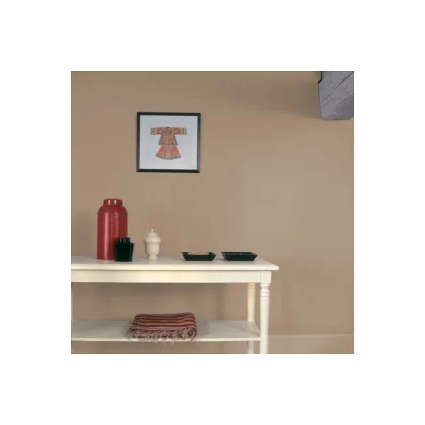 Peinture murs et plafonds Biorigine Tollens velours terre Brulée 0,5L