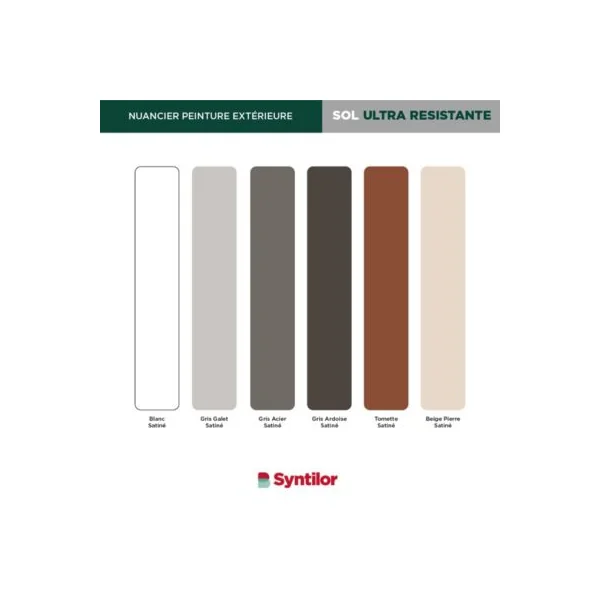 Peinture sol extérieur Ultra résistante tomette satin Syntilor 500 ml