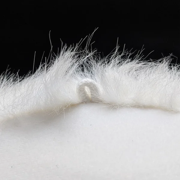 Peluche trophée Loup blanc Lucy collection Polaire