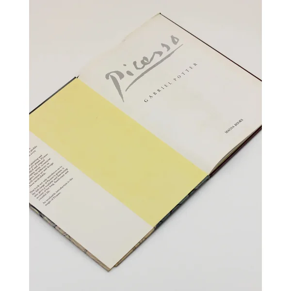 Picasso by Gabriel Potter Vintage Art Book