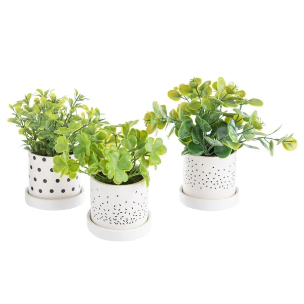 Pot de plante succulente coloris vert en céramique - Ø 8 cm