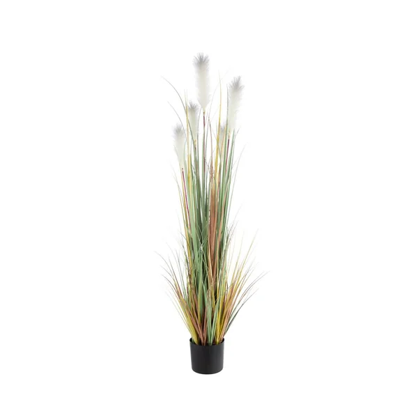 Pot de roseaux coloris blanc - 205 x 22 x 20 cm
