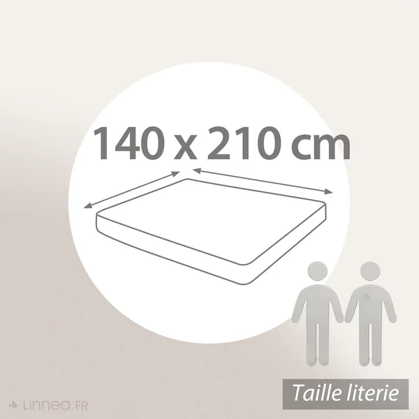 Protège matelas ANTONIN 140x210 cm bonnet 30 cm molleton 220 g/m² absorbant blanc