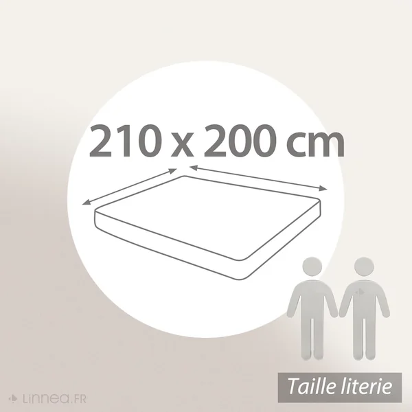 Protège matelas ANTONIN 210x200 cm bonnet 23 cm molleton 220 g/m² absorbant blanc