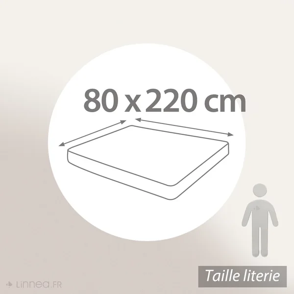 Protège matelas ANTONIN 80x220 cm bonnet 40 cm molleton 220 g/m² absorbant blanc