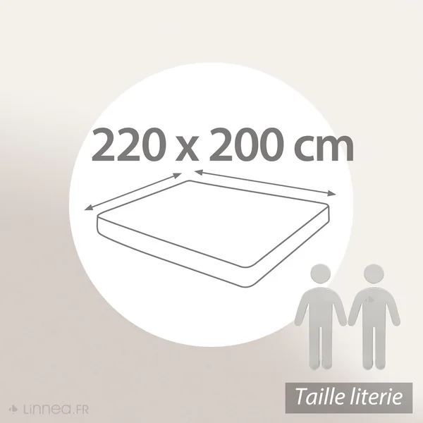 Protège matelas imperméable ANTONY 220x200 cm bonnet 40 cm coton enduction acrylique