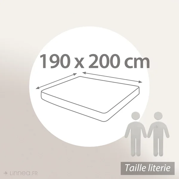Protège matelas imperméable ARNON 190x200 cm bonnet 23 cm molleton 100% coton contrecollé polyuréthane