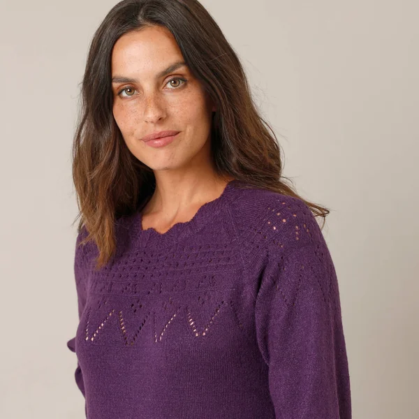 Robe pull finition écailles, maille fantaisie, prune